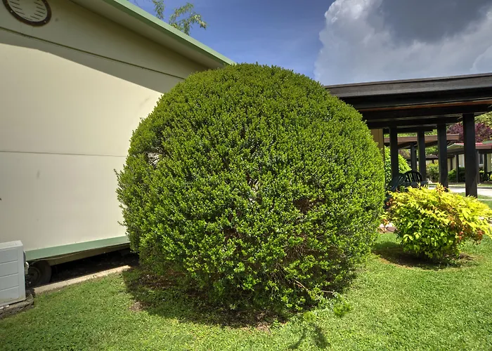 Flaminio Village Park Campsite 4*